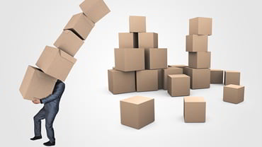 Preise und Bezahlung der Fotos